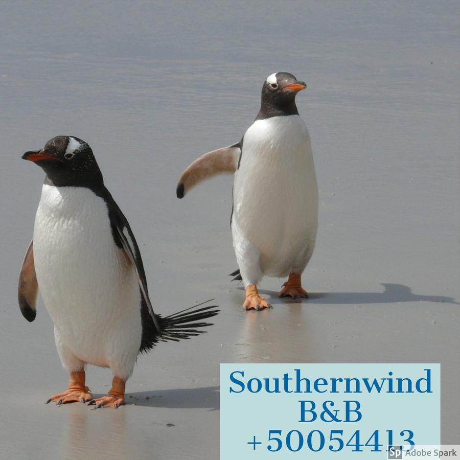 Southernwind - Spareroom Stanley Eksteriør billede